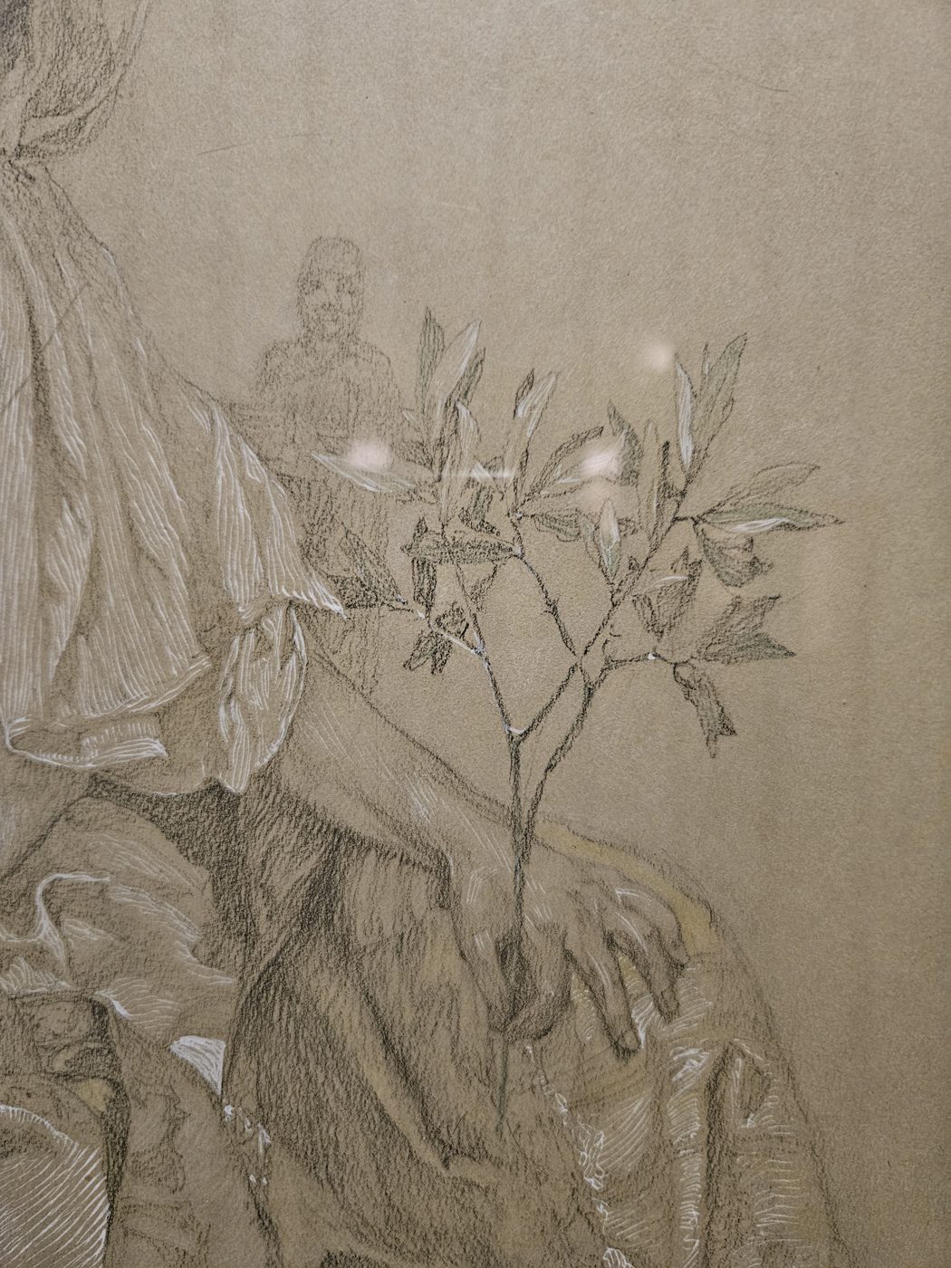 Détail d'un dessin d'Alphonse Mucha, branches et drapé